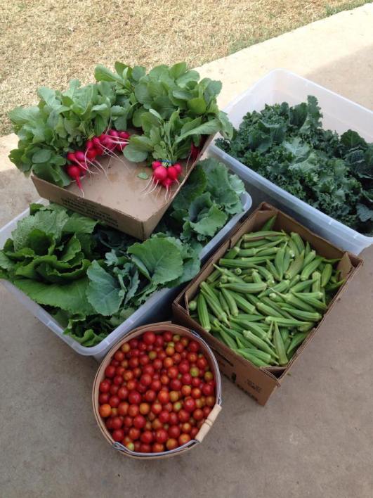 grow it forward Farms